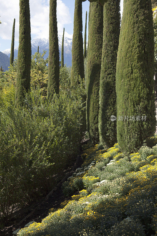 梅拉诺的Ornamental花园，Alto Adige, Italy (XXL)